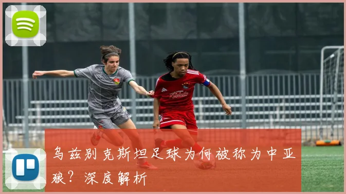 乌兹别克斯坦足球为何被称为中亚狼？深度解析